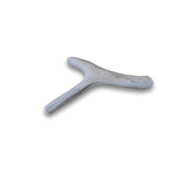 Deer Antler Dog Chews | Organic Antler Chews
