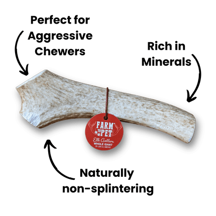 Whole Elk Antlers for Dogs | Long-lasting Antler Dog Chews