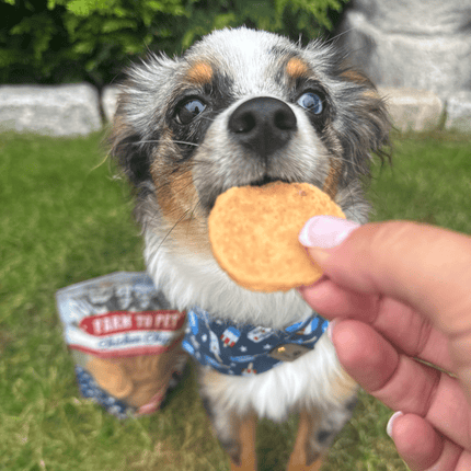 Americana Chicken Chips for Dogs