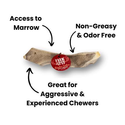 Split Reindeer Antler Dog Chews