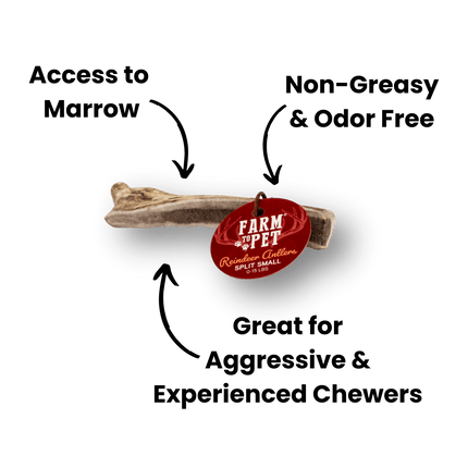 Split Reindeer Antler Dog Chews