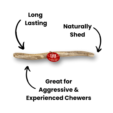 Whole Reindeer Antler Dog Chews