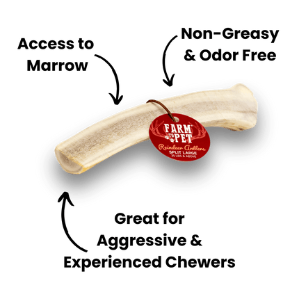 Split Reindeer Antler Dog Chews