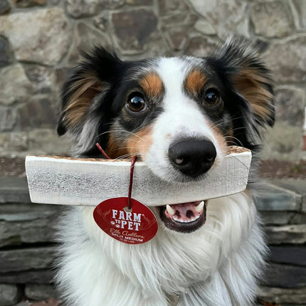 Split Elk Antlers for Dogs | Organic Antler Dog Chews