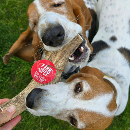 Split Elk Antlers for Dogs | Organic Antler Dog Chews
