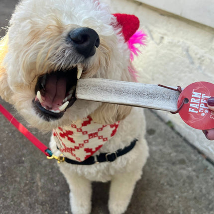 Split Elk Antlers for Dogs | Organic Antler Dog Chews