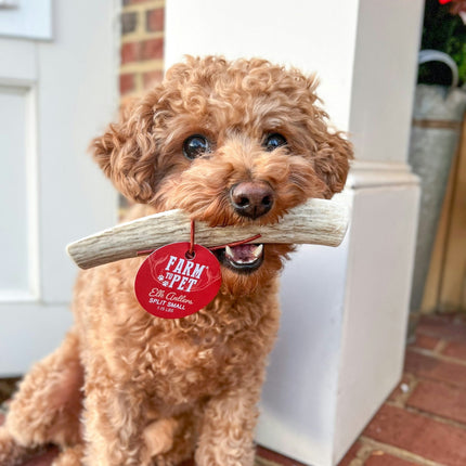 Split Elk Antlers for Dogs | Organic Antler Dog Chews