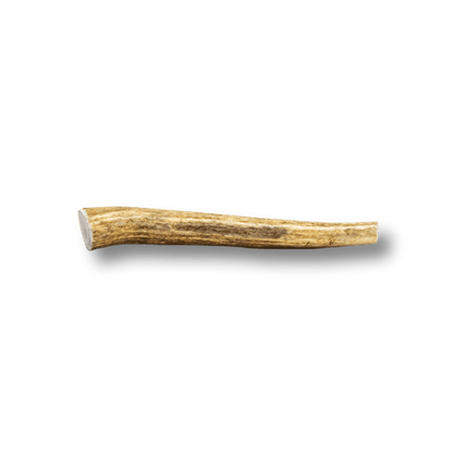 Whole Elk Antlers for Dogs | Long-lasting Antler Dog Chews