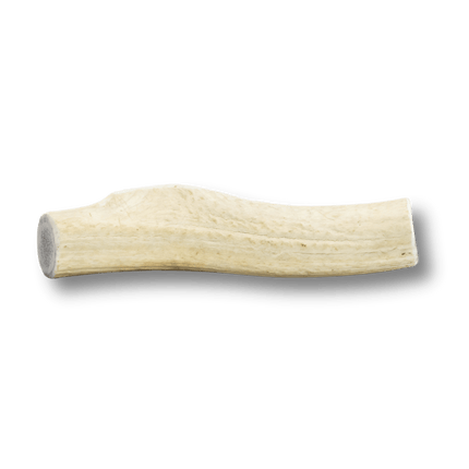 Whole Elk Antlers for Dogs | Long-lasting Antler Dog Chews