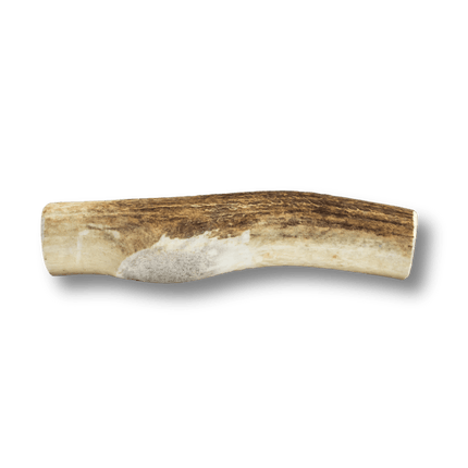 Whole Elk Antlers for Dogs | Long-lasting Antler Dog Chews