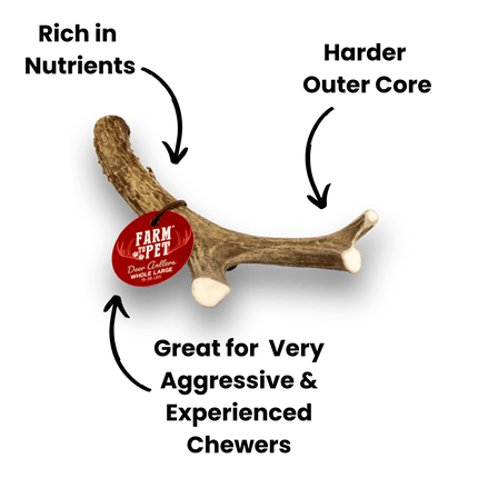 Deer Antler Dog Chews | Organic Antler Chews