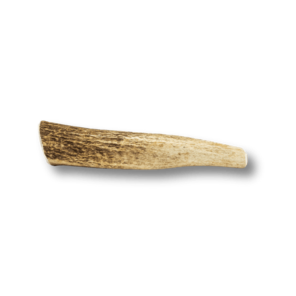 Whole Elk Antlers for Dogs | Long-lasting Antler Dog Chews
