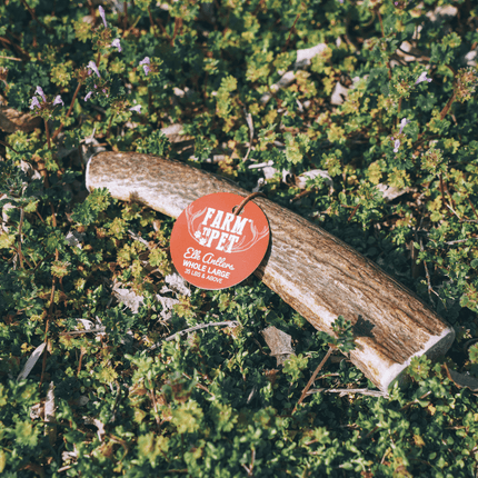Split Elk Antlers for Dogs | Organic Antler Dog Chews