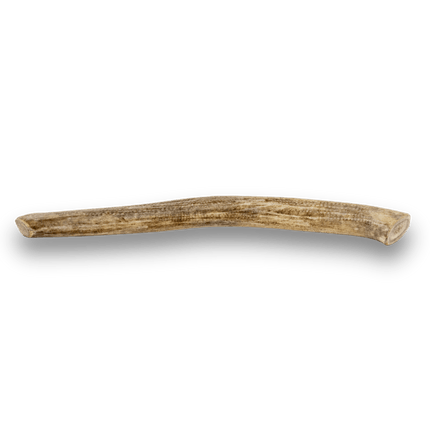 Whole Reindeer Antler Dog Chews