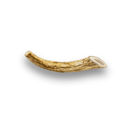 Whole Reindeer Antler Dog Chews