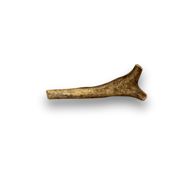 Whole Reindeer Antler Dog Chews