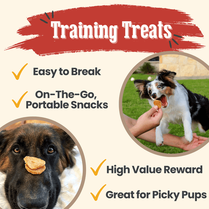 Chicken Chips for Dogs | All-natural Single-ingredient Dog Treats
