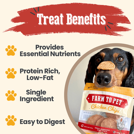 Chicken Chips Snack Pack Bundles | Dog Party Favors and Training Treats