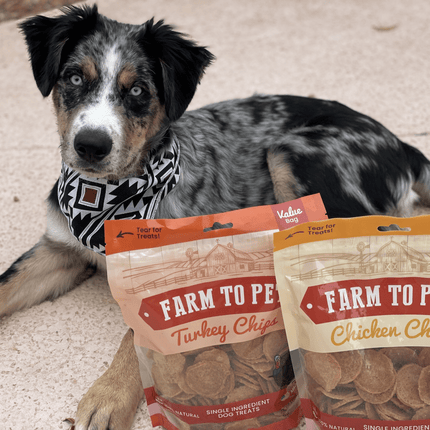 Turkey & Chicken Chip Dog Treat Duo | Single-ingredient Poultry Treats for Dogs