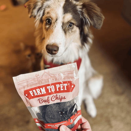 Puppy Packs 'n Snacks Dog Treat Starter Pack | Single-ingredient Training Treats