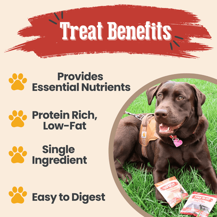 Chicken, Turkey, & Beef Snack Pack Trio