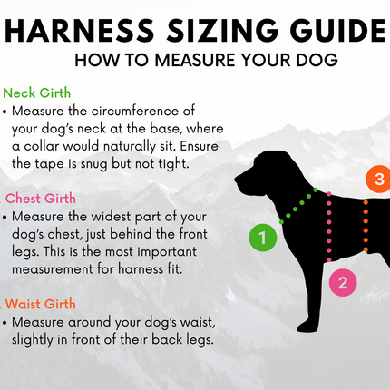 Outlander Adjustable Dog Harness