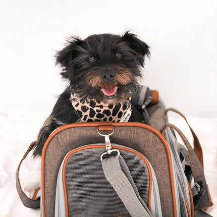 Mr. Peanut's Gold Series Standard Size Airline Compliant Pet Carrier