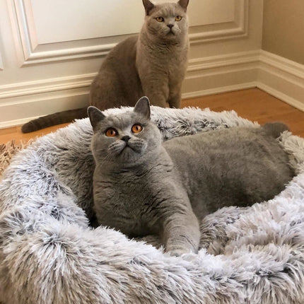 Mr. Peanut's 23" OrthoPlush® Pet Bed - Gray Two Tone