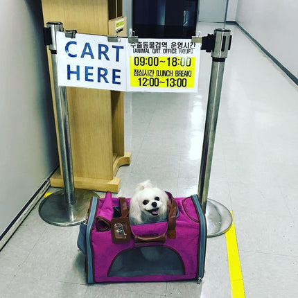 Mr. Peanut's Gold Series Standard Size Airline Compliant Expandable Pet Carrier