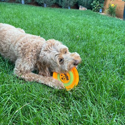 Fun Dog Toy by DogGoods™