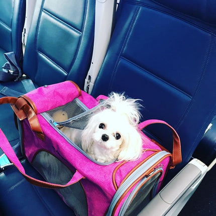 Mr. Peanut's Gold Series Standard Size Airline Compliant Expandable Pet Carrier