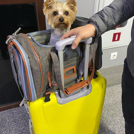 Mr. Peanut's Gold Series Standard Size Airline Compliant Expandable Pet Carrier