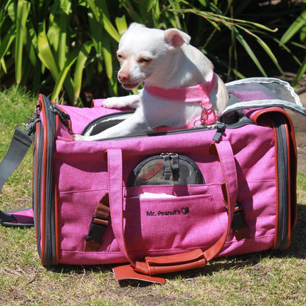 Mr. Peanut's Gold Series Standard Size Airline Compliant Pet Carrier