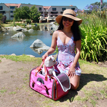 Mr. Peanut's Gold Series Standard Size Airline Compliant Pet Carrier
