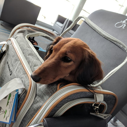 Mr. Peanut's Platinum Series Double Expandable Pet Carrier