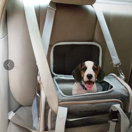 Mr. Peanut's Platinum Series Expandable Pet Carrier