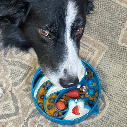 Wave Design eBowl Enrichment Slow Feeder Bowl for Dogs