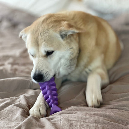 Fish Bone Ultra Durable Nylon Chew Toy