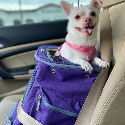 Mr. Peanut's Vancouver Series Backpack Pet Carrier for Smaller Cats and Dogs