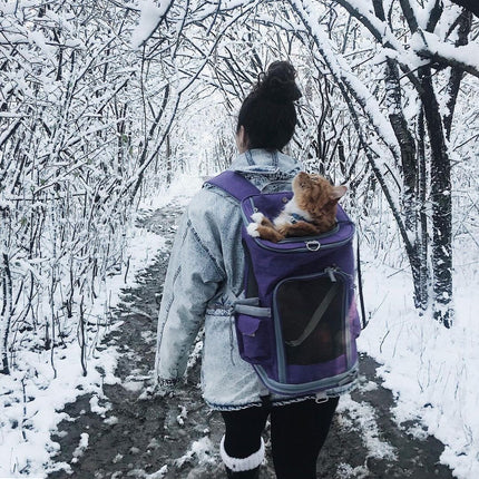 Mr. Peanut's Vancouver Series Backpack Pet Carrier for Smaller Cats and Dogs