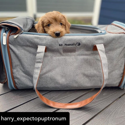 Mr. Peanut's Gold Series Big Apple XL Size Airline Compliant Expandable Pet Carrier