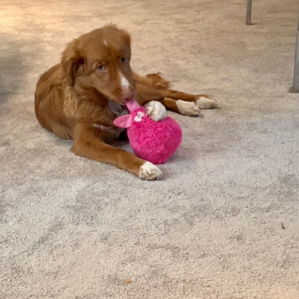Gumdropimalz: Fun Dog Toy Grunters by DogGoods ™