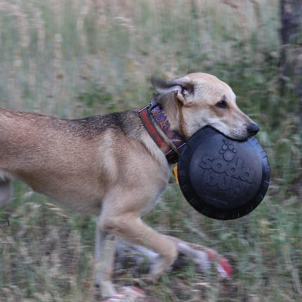 Magnum Bottle Top Flyer Ultra Durable Rubber Retrieving Frisbee - Large - Black