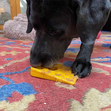 Swiss Cheese Wedge eChew Durable Nylon Dog Chew Toy