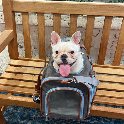 Mr. Peanut's Gold Series Big Apple XL Size Airline Compliant Expandable Pet Carrier