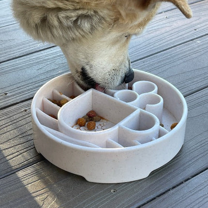 Java Design eBowl Enrichment Slow Feeder Bowl for Dogs