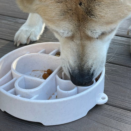 Java Design eBowl Enrichment Slow Feeder Bowl for Dogs