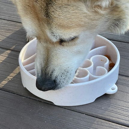 Java Design eBowl Enrichment Slow Feeder Bowl for Dogs