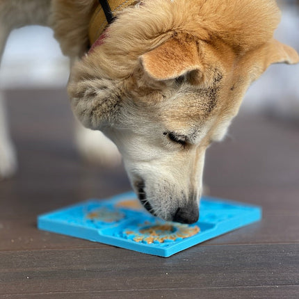 Sky Design eMat Enrichment Lick Mat