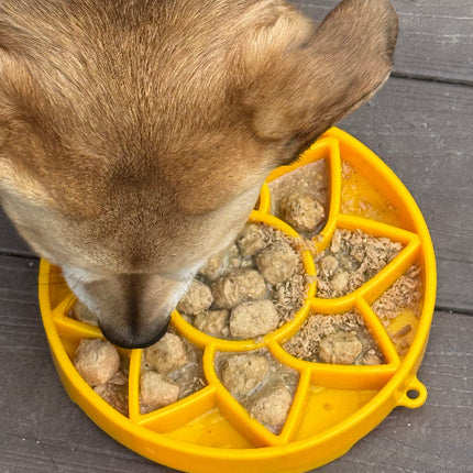 Sunflower Design eTray Enrichment Shallow Slow Feeder Dog Bowl